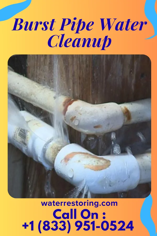 Burst Pipe Water Cleanup in Ashwaubenon, WI