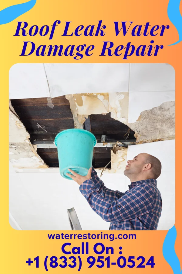Roof Leak Water Damage Repair in Ashwaubenon, WI