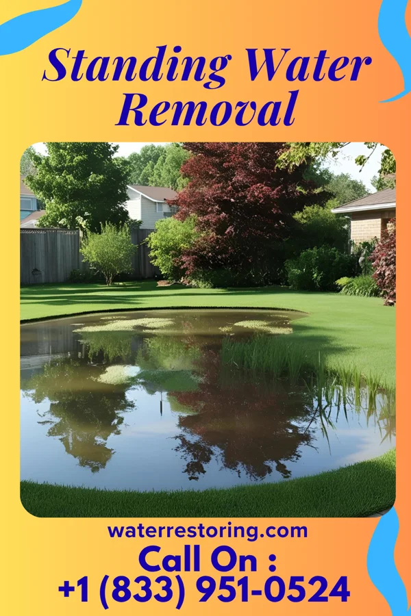 Standing Water Removal in Ashwaubenon, WI